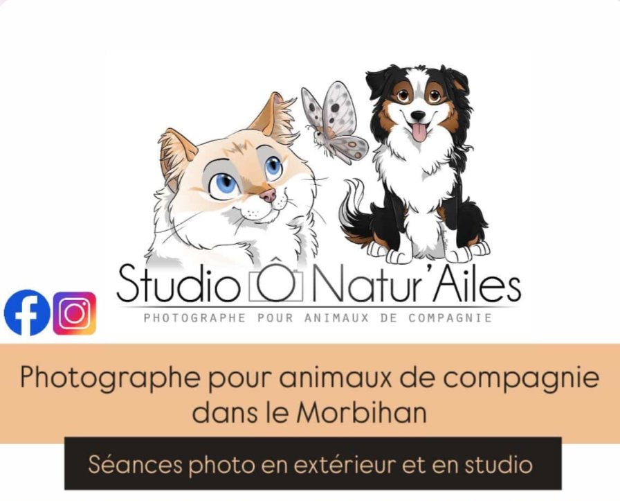Photographe canin et pour animaux de compagnie basée dans le Morbihan, Amandine vous fait partager un moment complice avec votre animal afin de garder une trace intemporelle de votre relation...